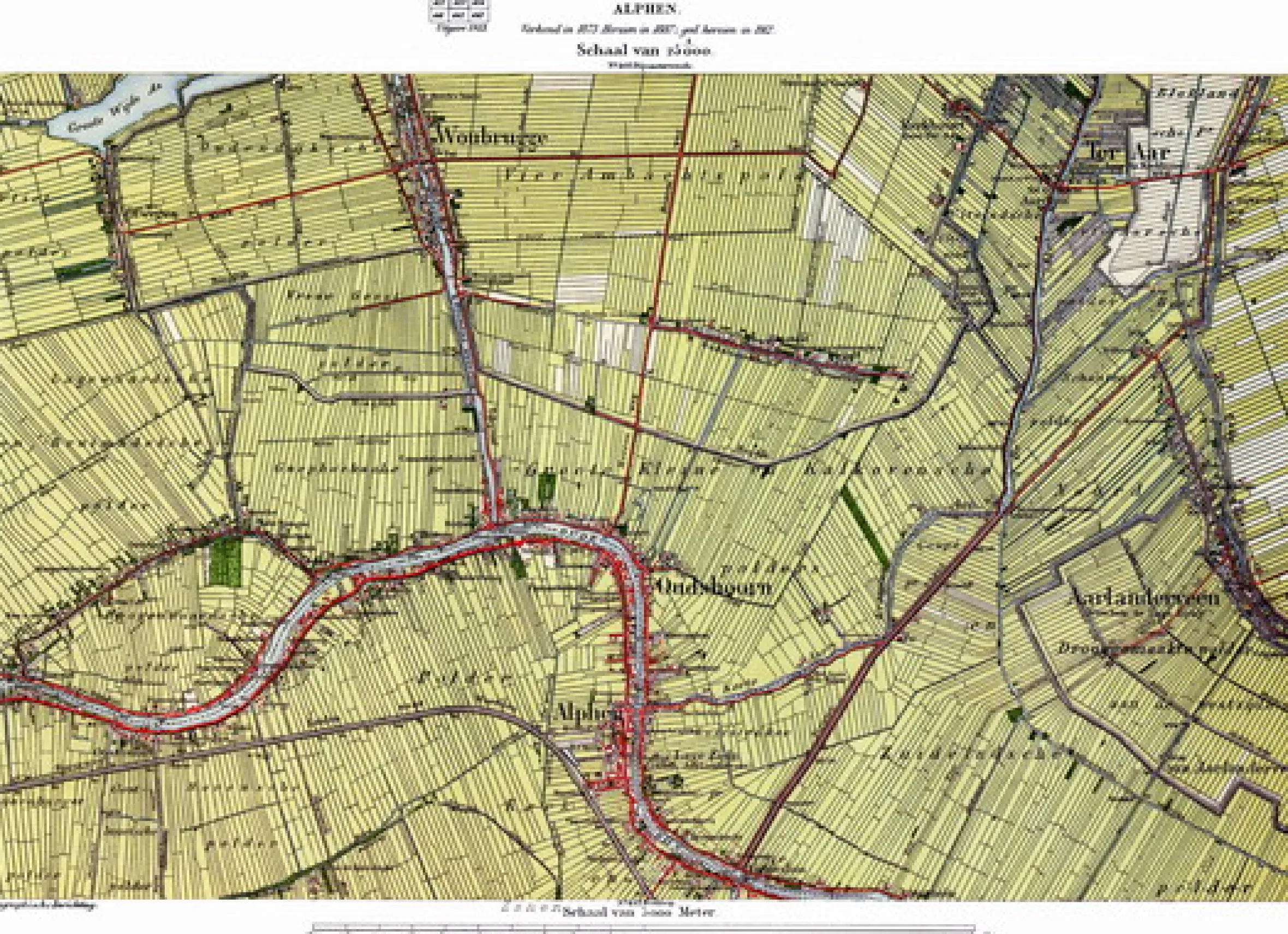 Alphen 423