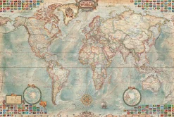 Ray&Co Modern World Antique Map