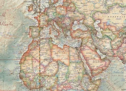Ray&Co Modern World Antique Map