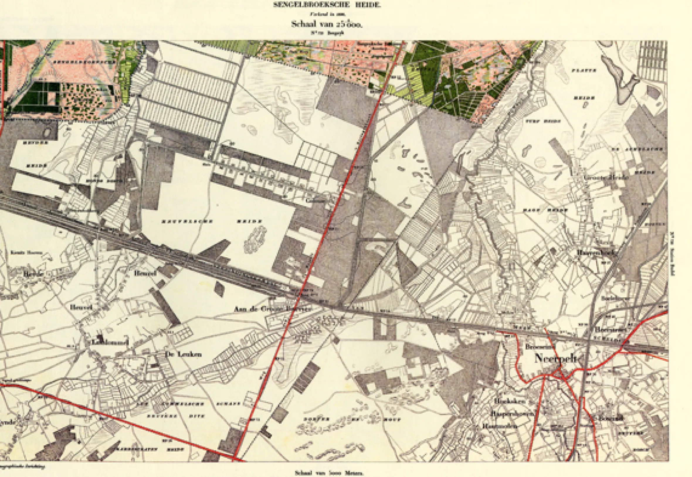 Sengelbroeksche Heide 735