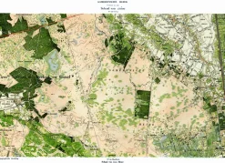 Somerensche Heide 709