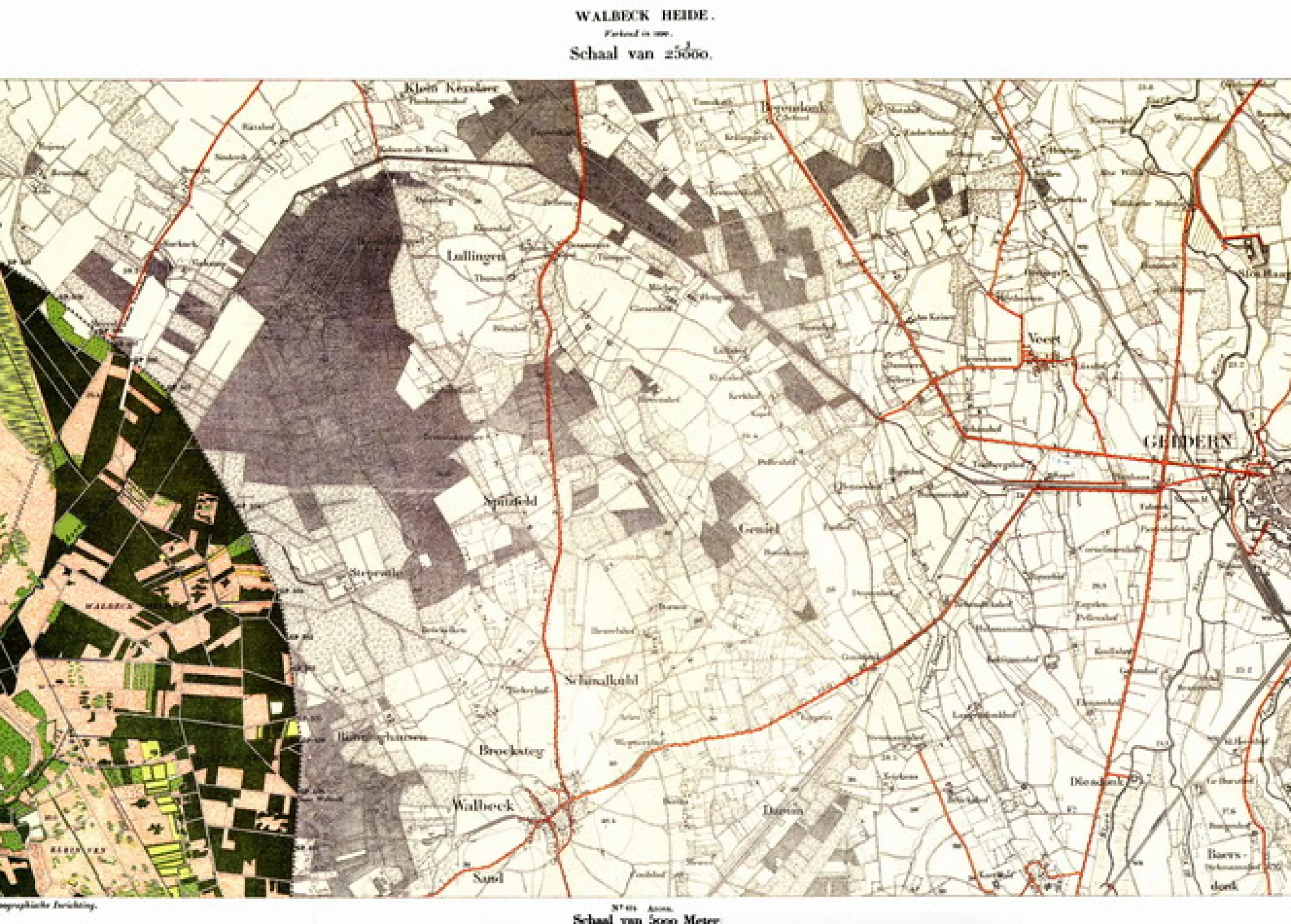 Walbeck Heide 654