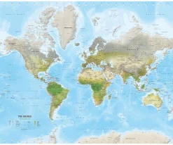 Wereldkaart Environmental Medium 1499